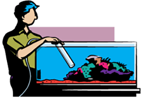 (image for) Patio Pond Services